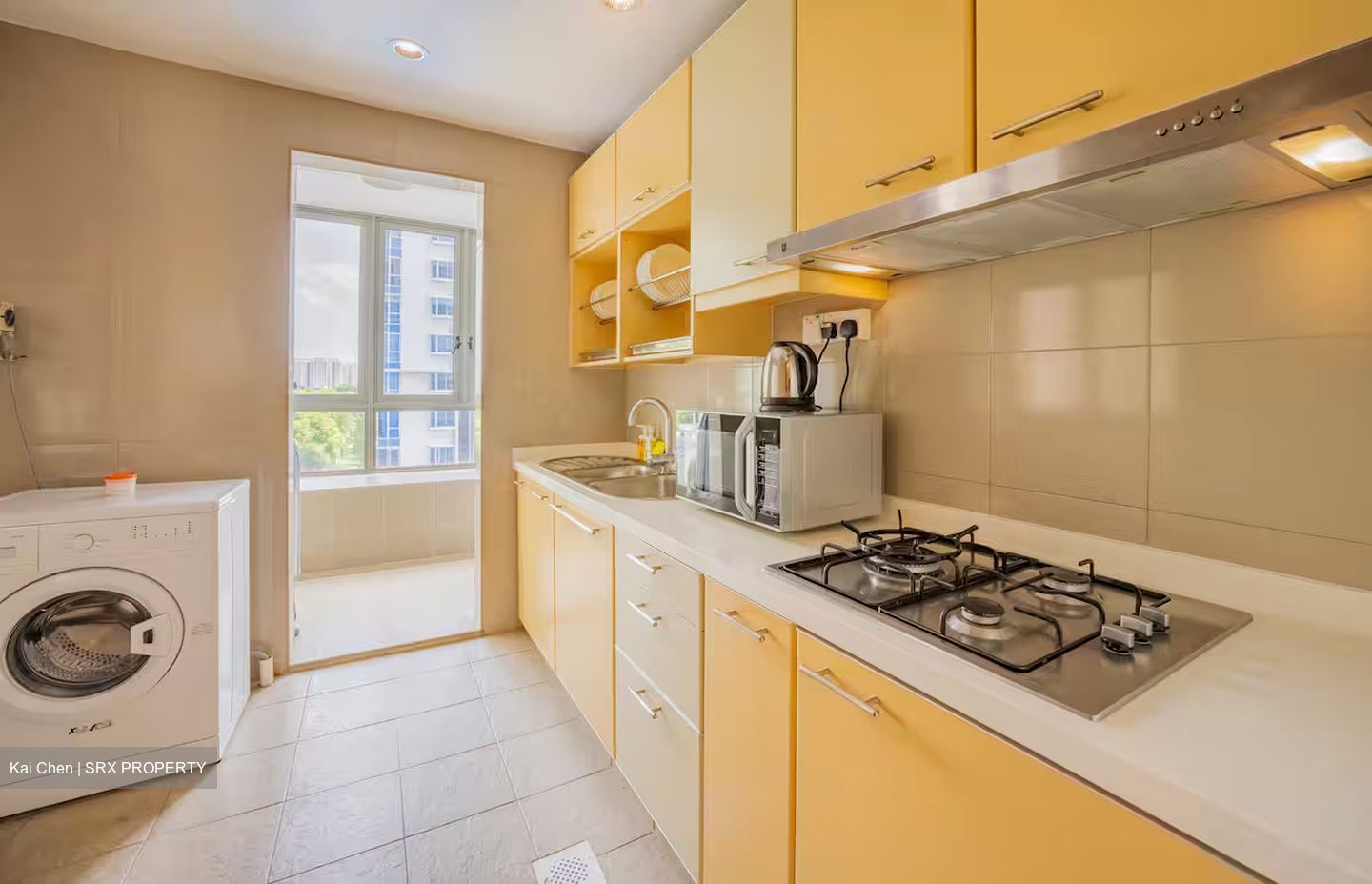 Fortville (D15), Condominium #475970041